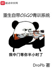 ԴCSGOѵϵͳ